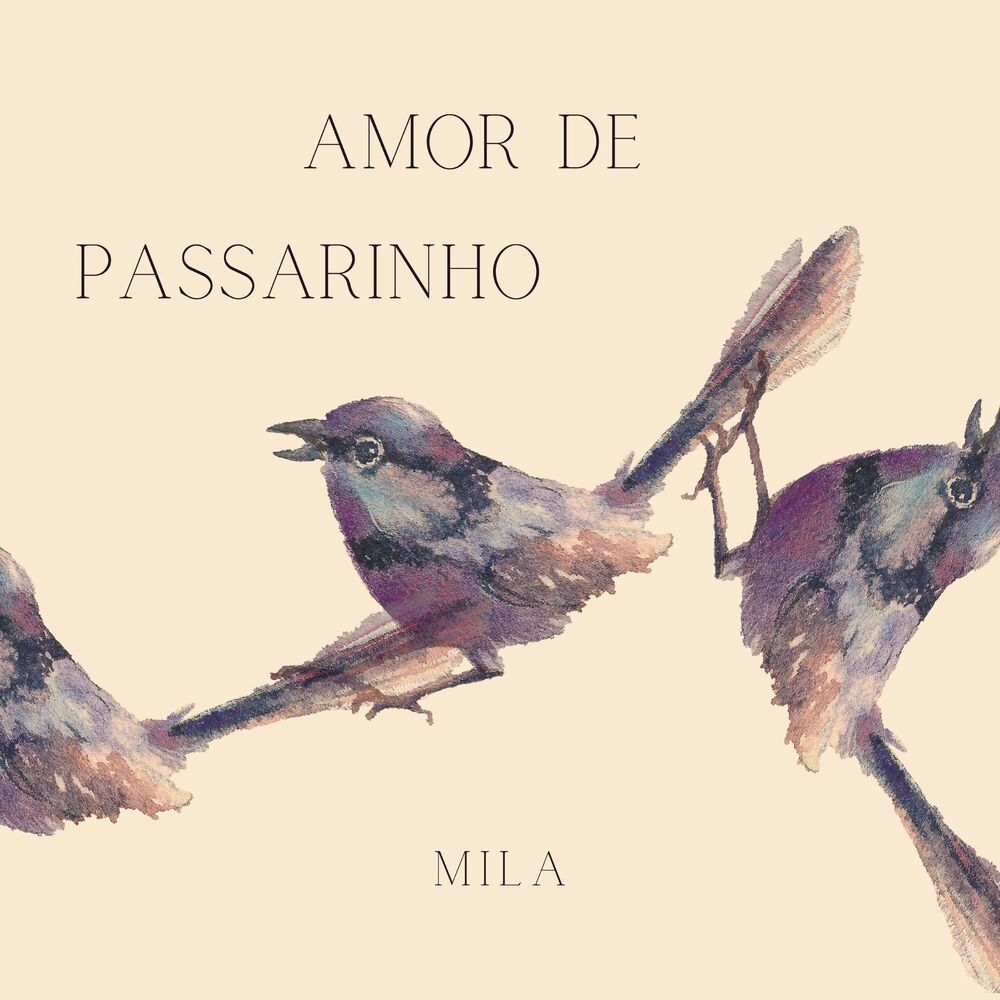 Picture of Amor de Passarinho