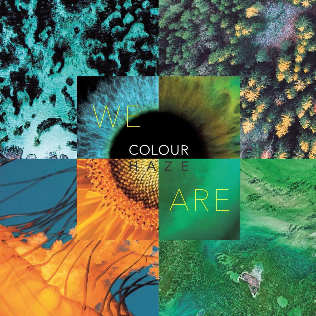 Album cover of We Are