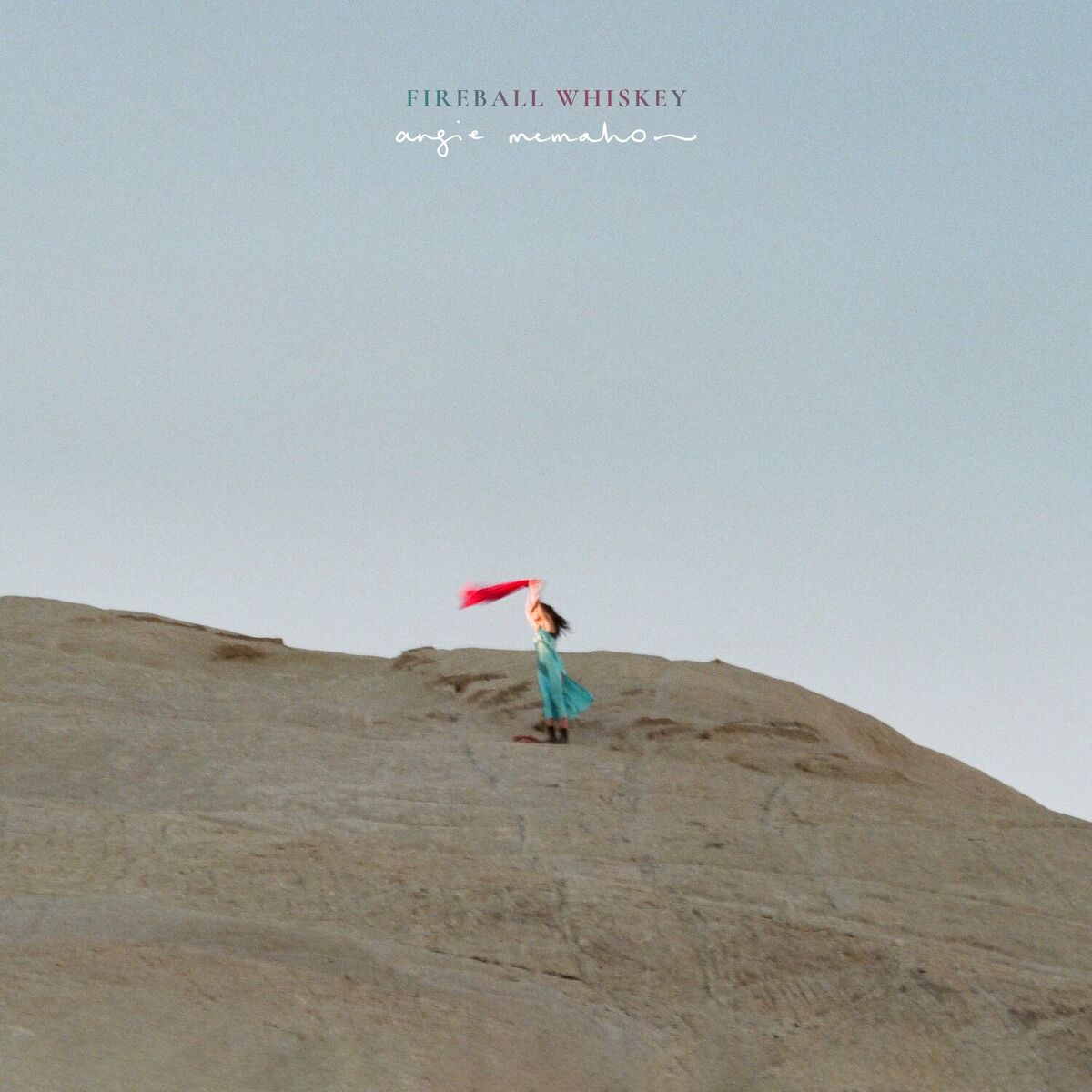 Album cover of Fireball Whiskey