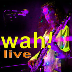 Cover of Live