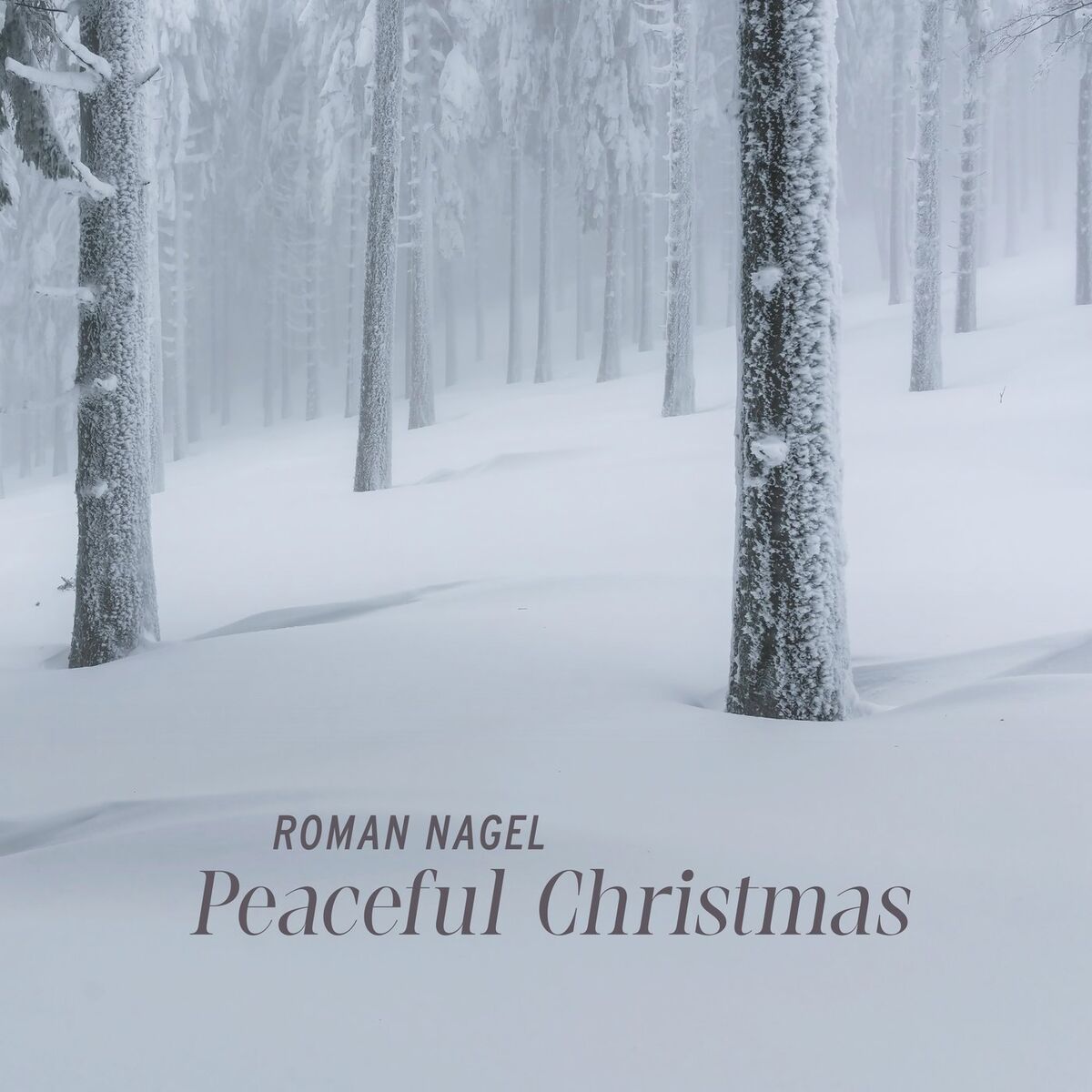 Album cover of Peaceful Christmas