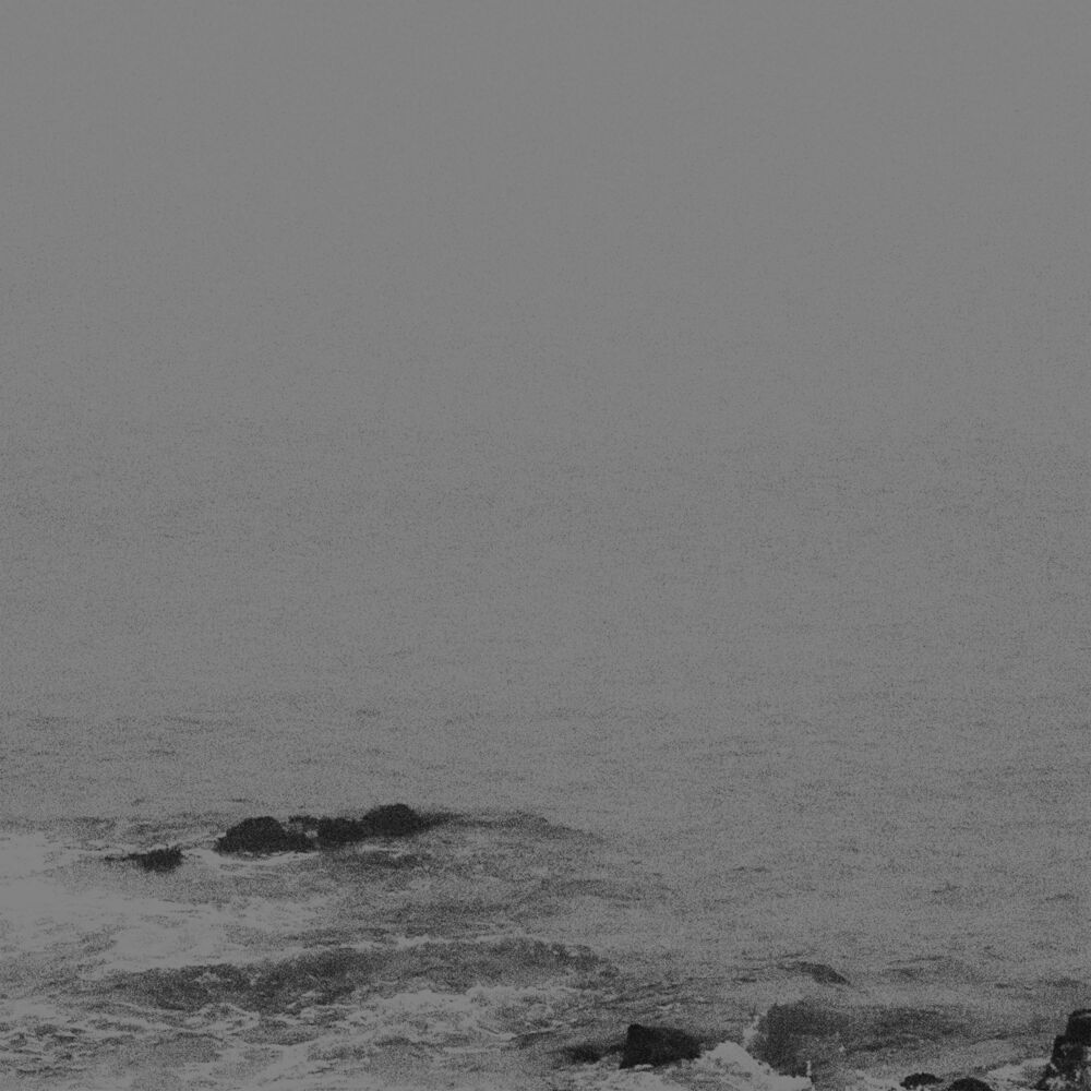 Picture of Raindrops