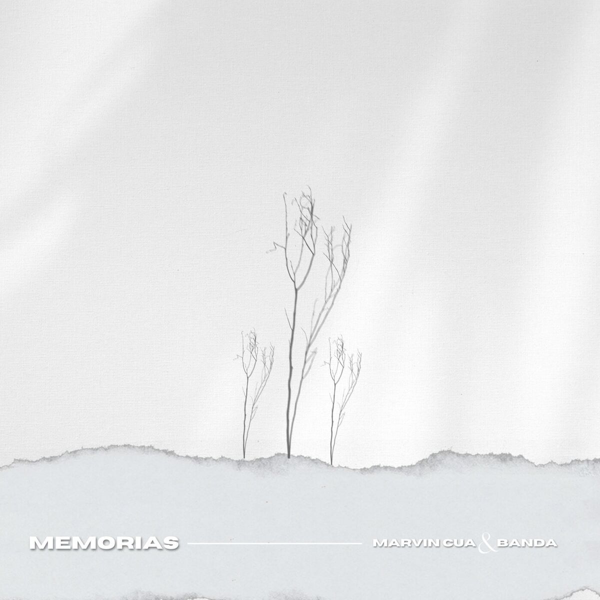 Album cover of Memorias