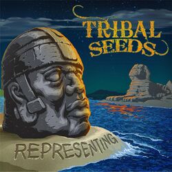 Cover of Representing