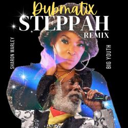 Cover of Steppah Dubmatix (Remix)