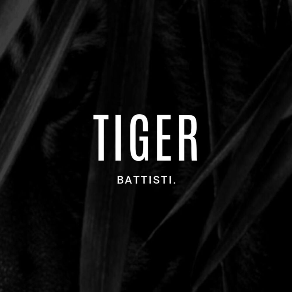 Picture of Tiger