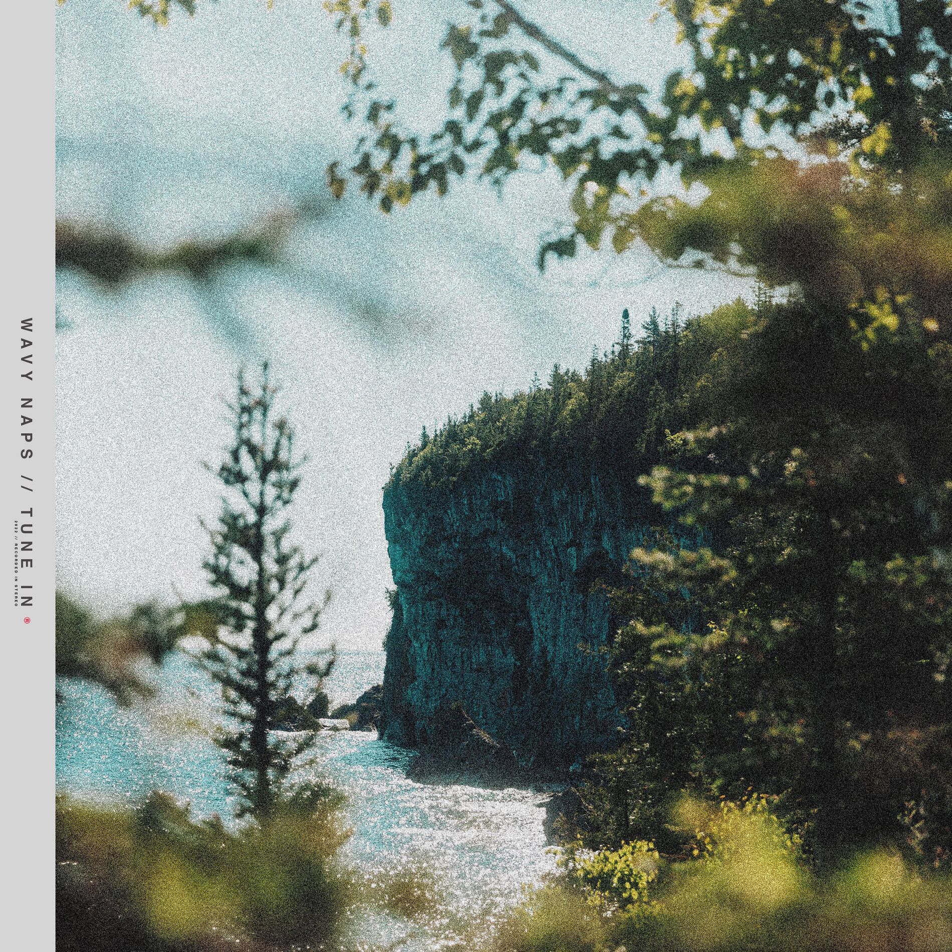 Album cover of Tune in