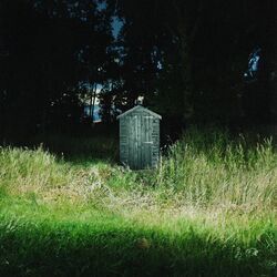 Cover of Brambles