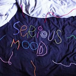Cover of Serious Mood