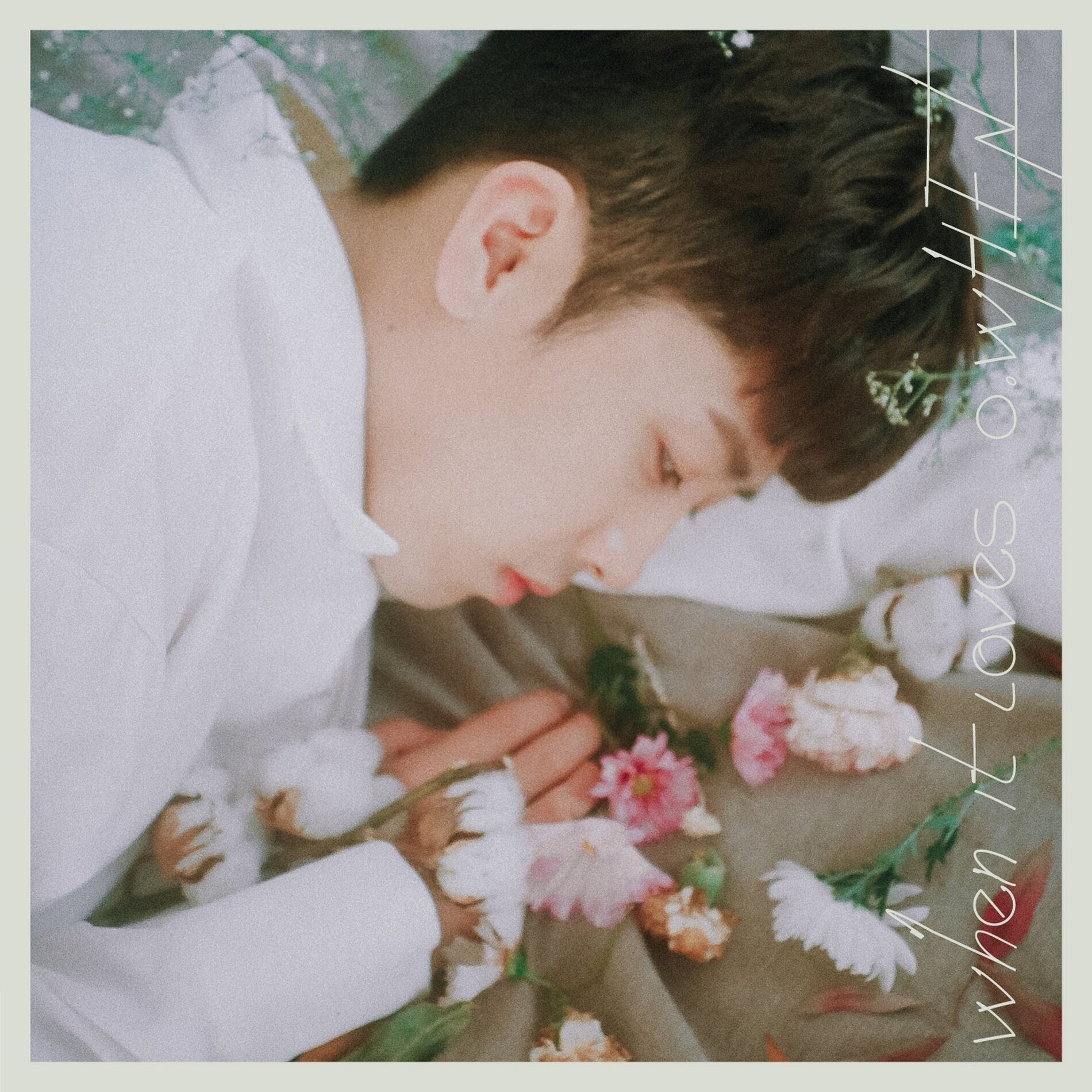 Album cover of Dream
