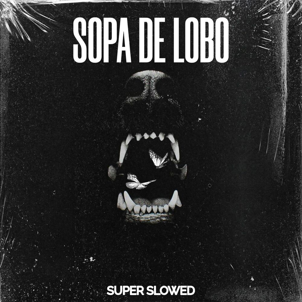 Picture of SOPA DE LOBO (SUPER SLOWED)