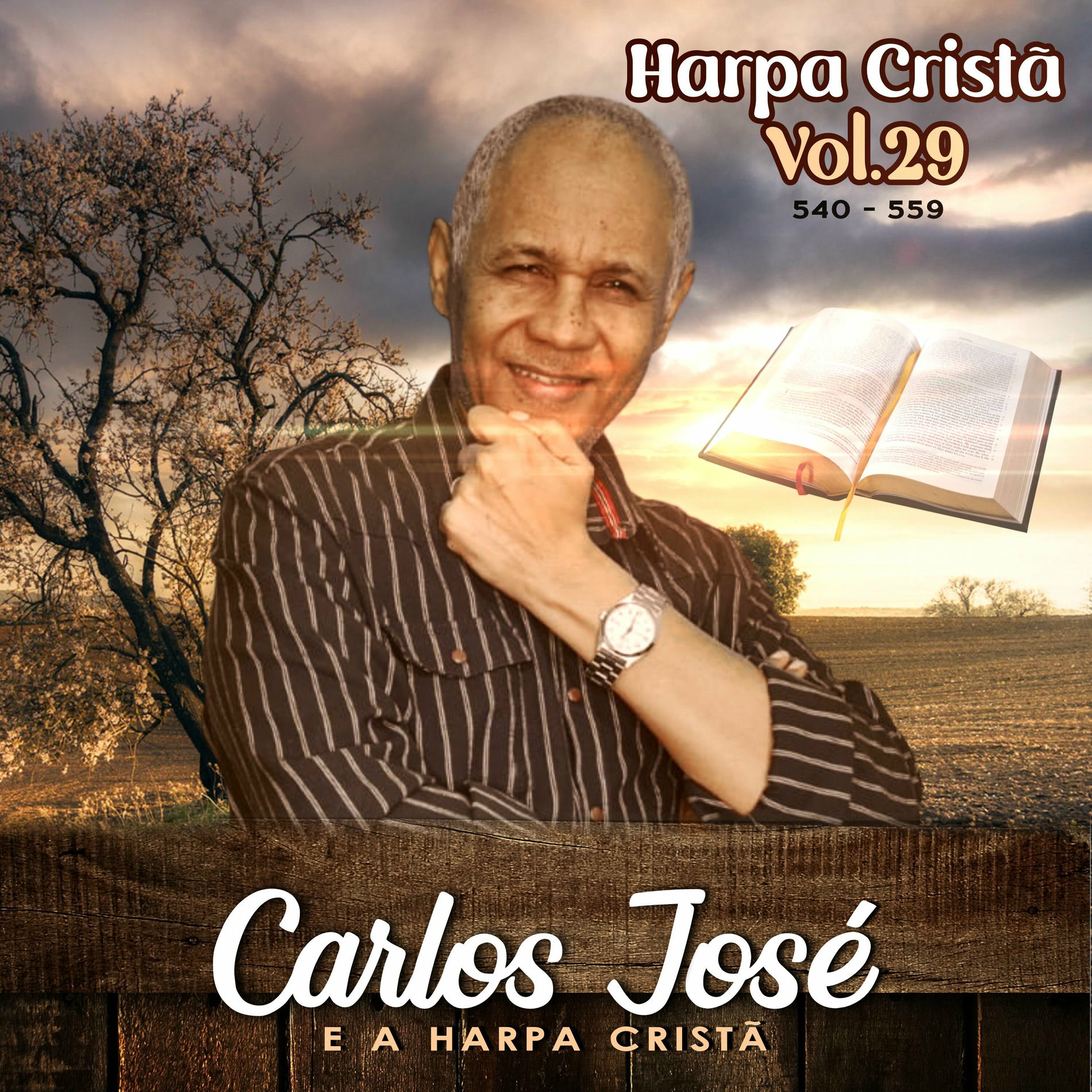 Album cover of Harpa Cristã Vol 29