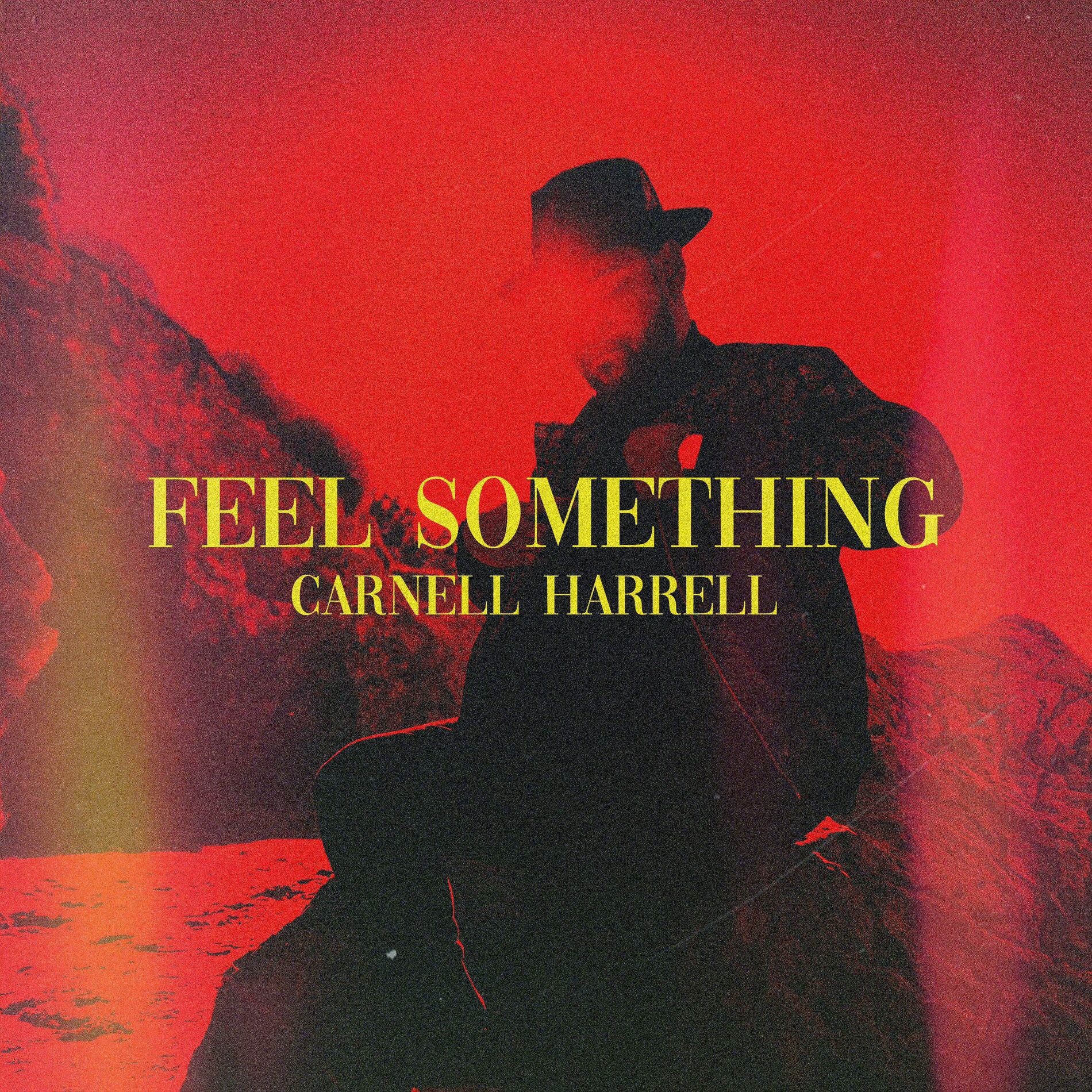 Album cover of feel something