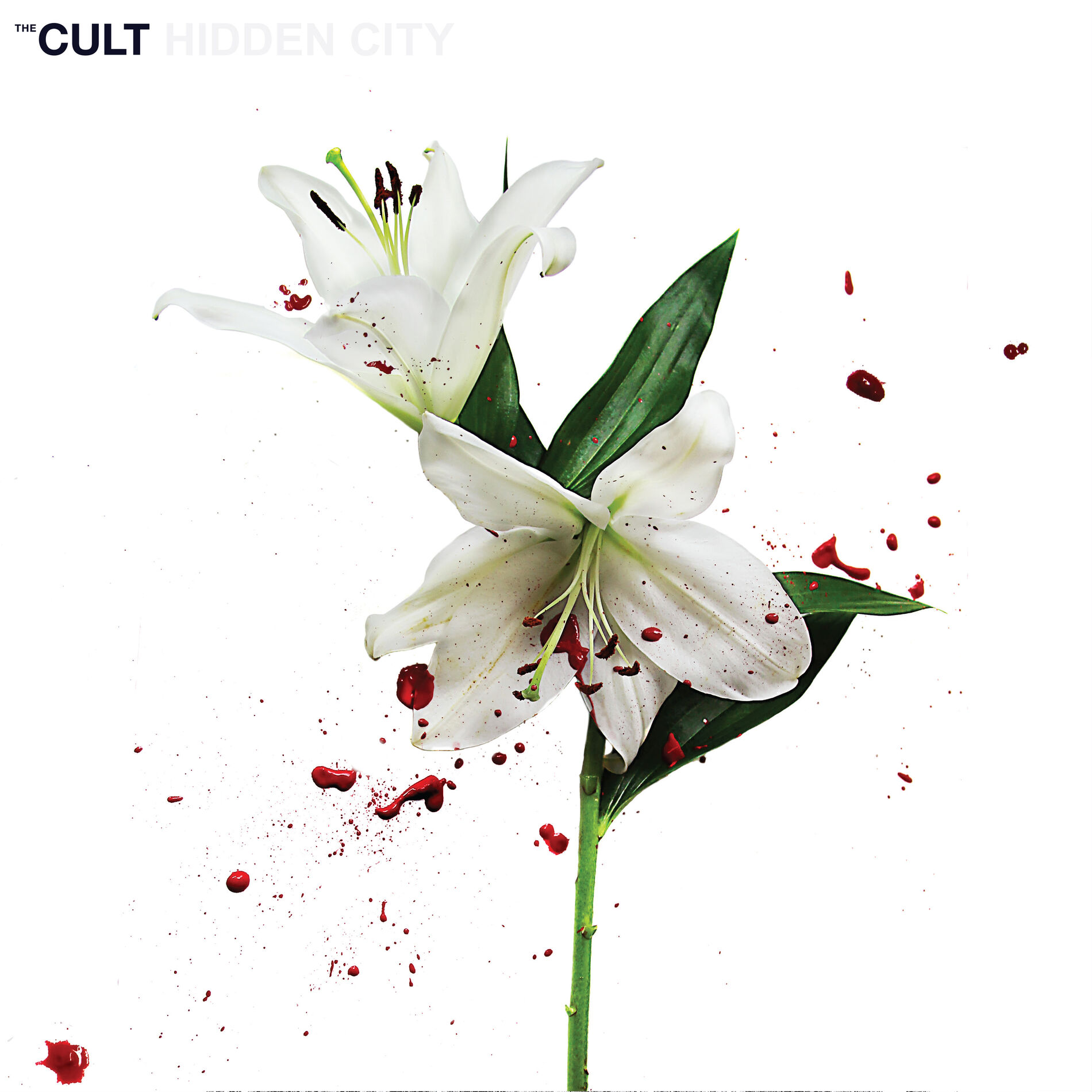 Album cover of Hidden City