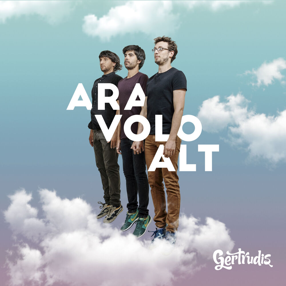 Picture of Ara Volo Alt