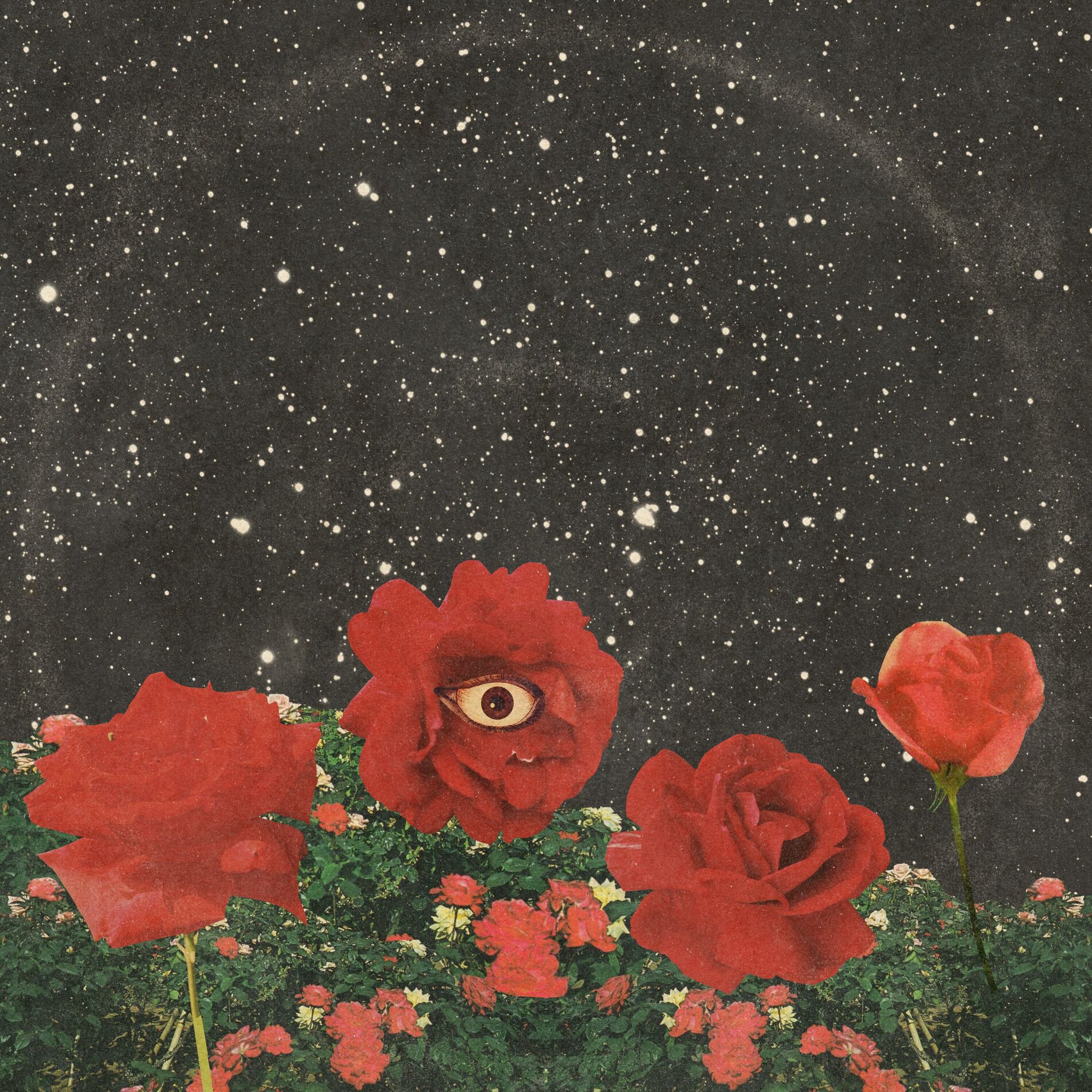 Album cover of Gardens (Deluxe Version)