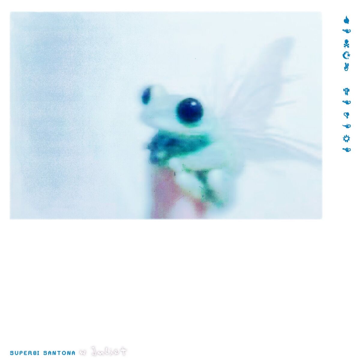 Album cover of Senza Vedere