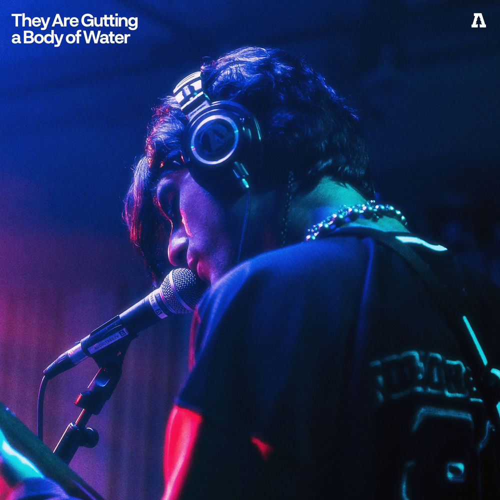 They Are Gutting a Body of Water on Audiotree Live cover