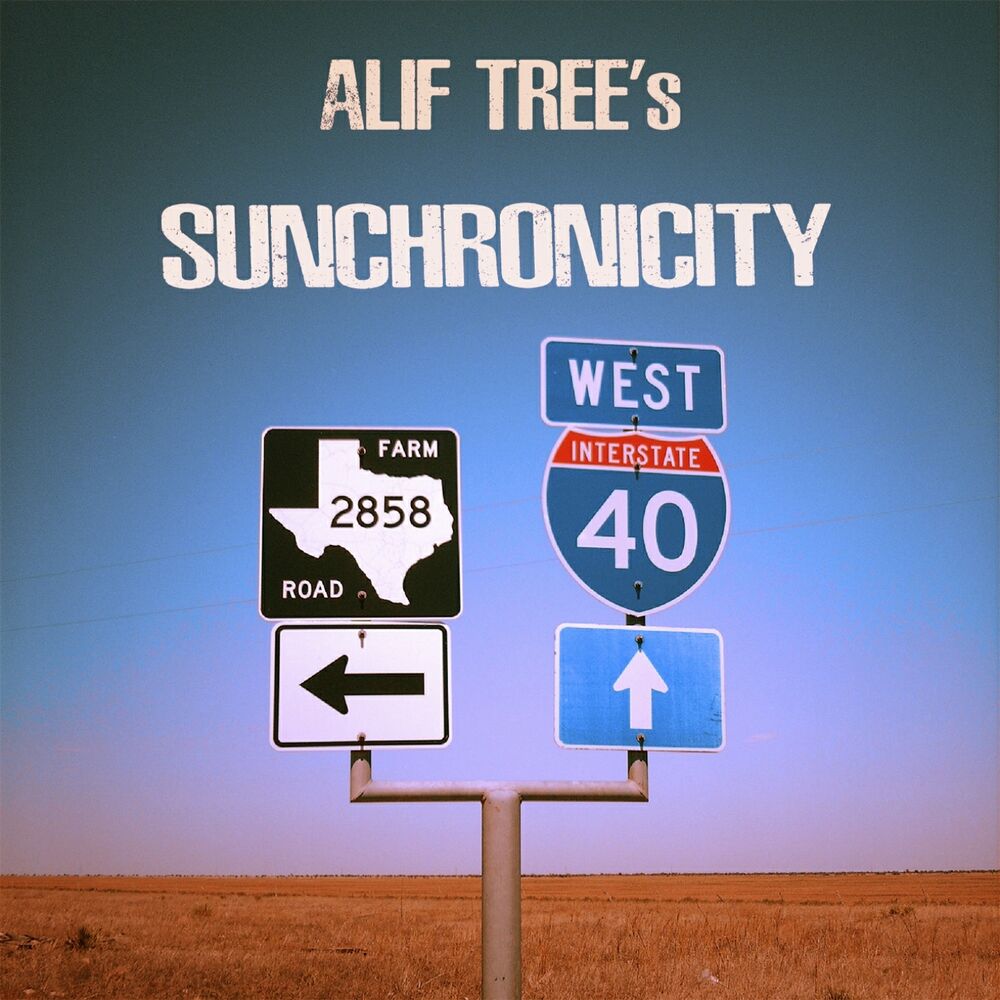 Picture of Sunchronicity