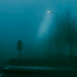 Cover of mid-morning fog