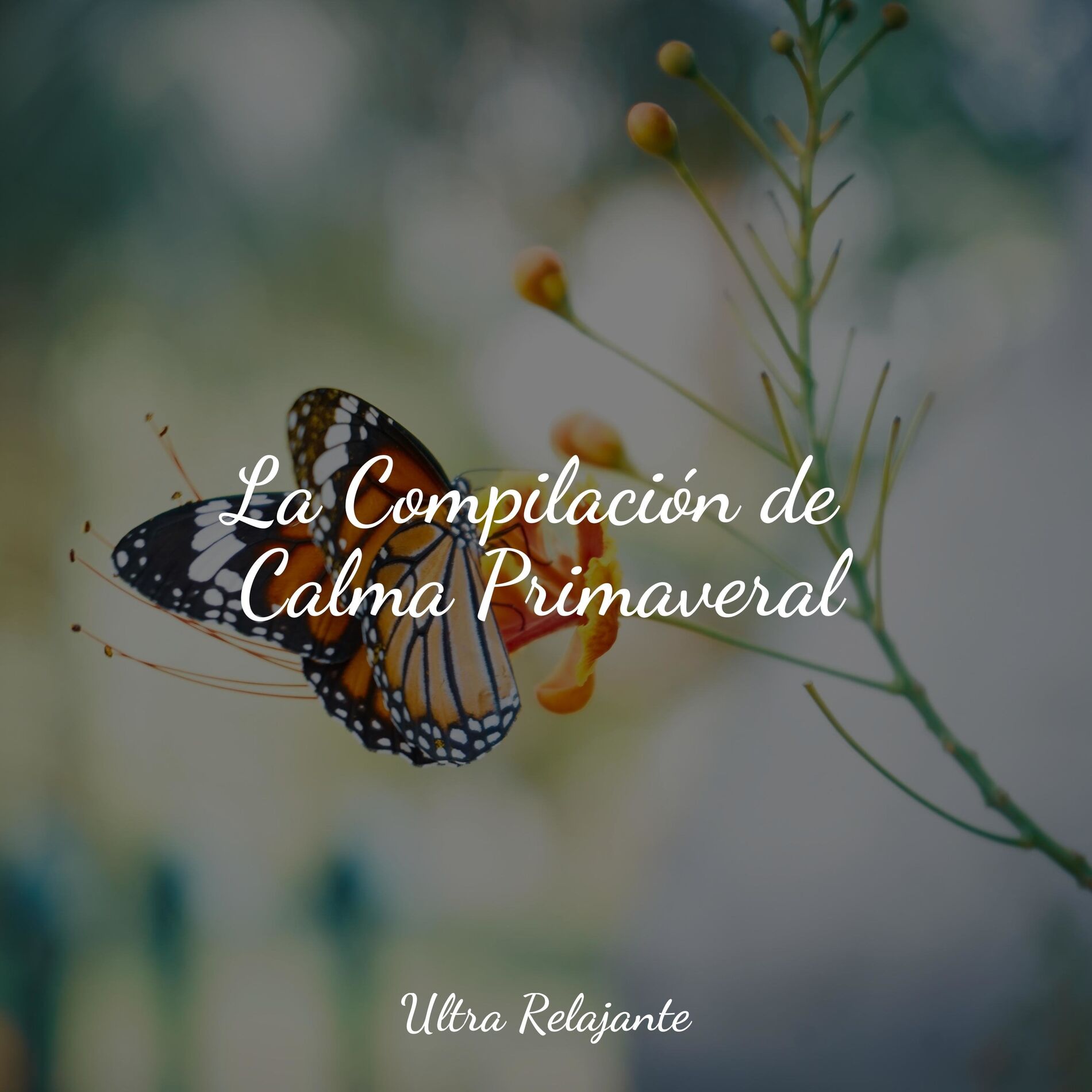 Album cover of La Compilación de Calma Primaveral