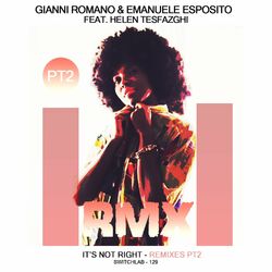 Cover of It's Not Right, Vol. 2 (Remixes)