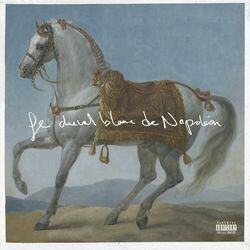 Cover of Le cheval blanc de Napoléon