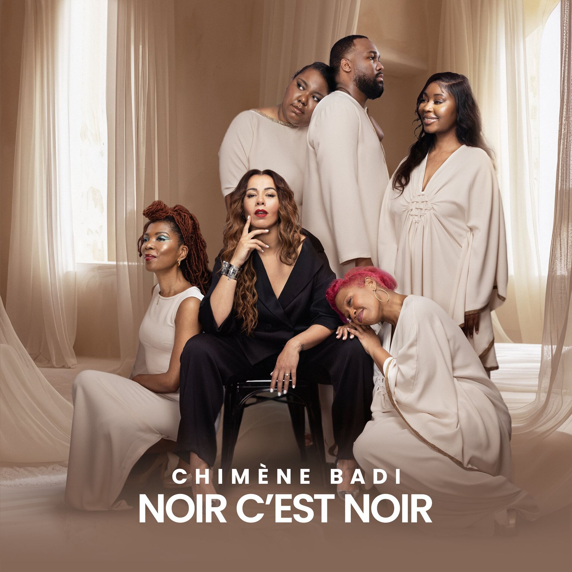 Album cover of Noir c'est noir
