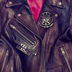 Cover of Darker Than Leather