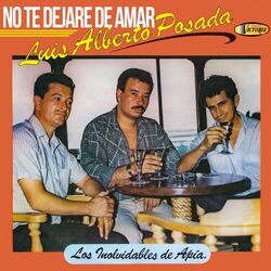 Cover of No Te Dejaré de Amar