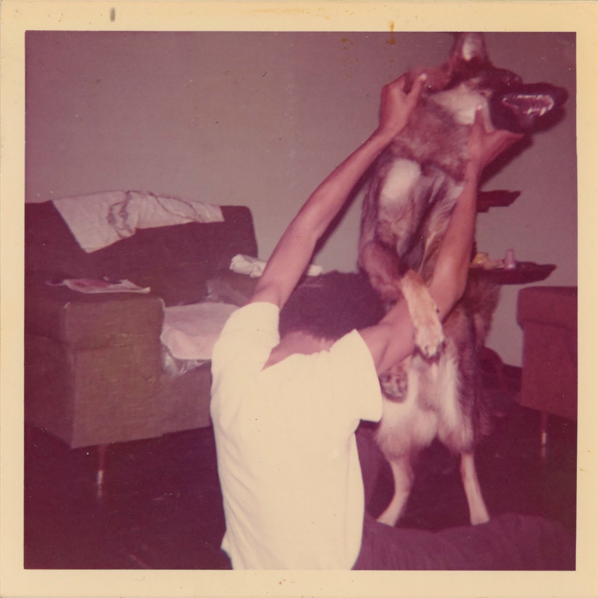 Album cover of I Told Bessie