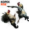 Glow by Kopek album cover