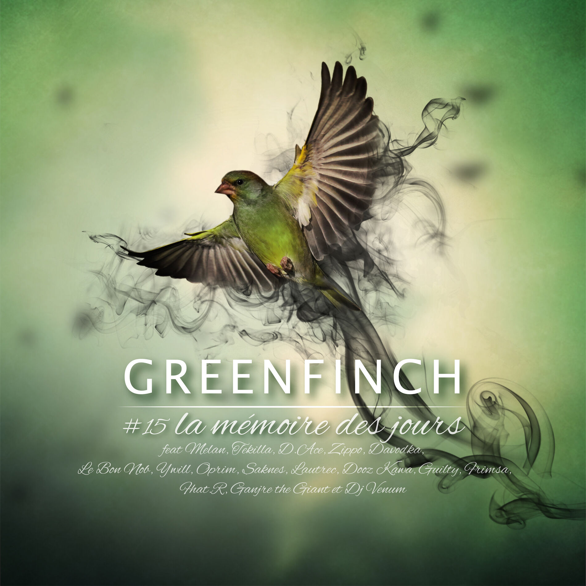 Album cover of La mémoire des jours