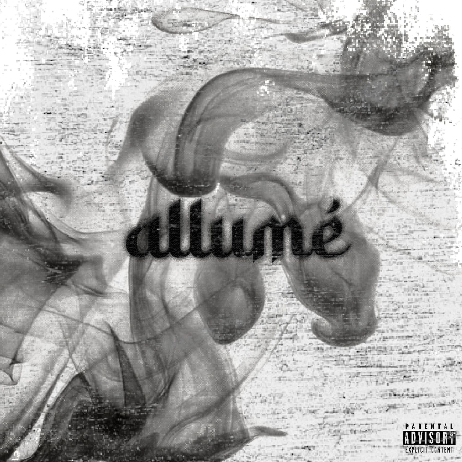 Album cover of Allumé (feat. Goose)