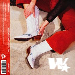 Cover of BOOTS