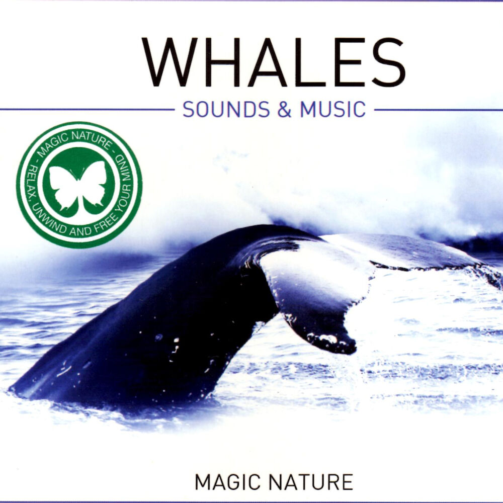 Picture of Whales - Sounds & Music