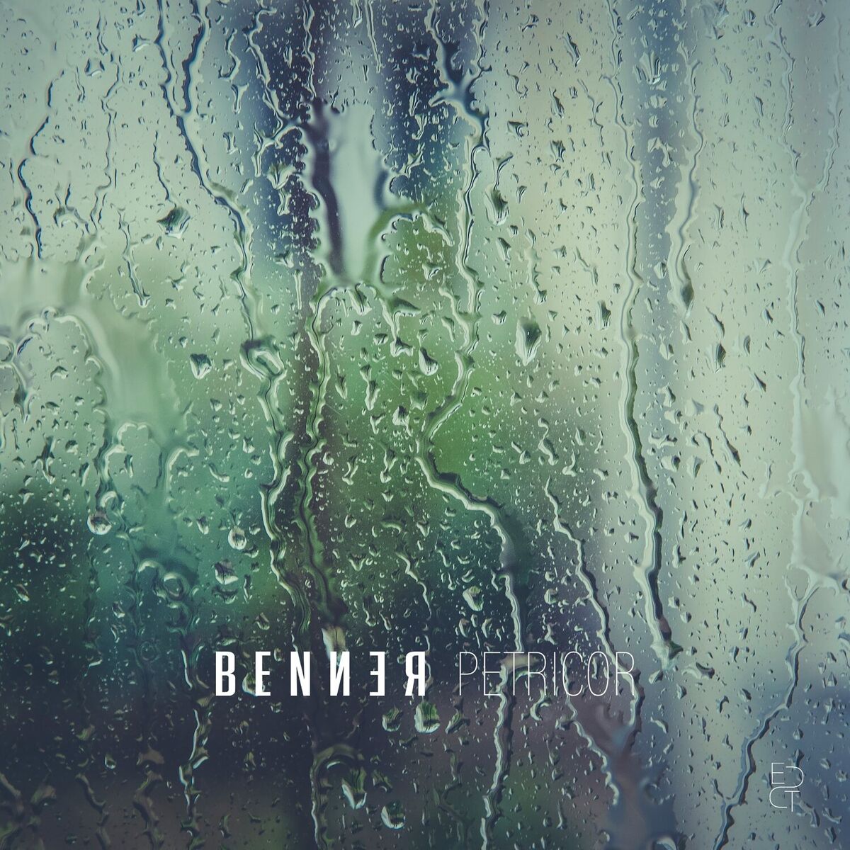Album cover of Petricor