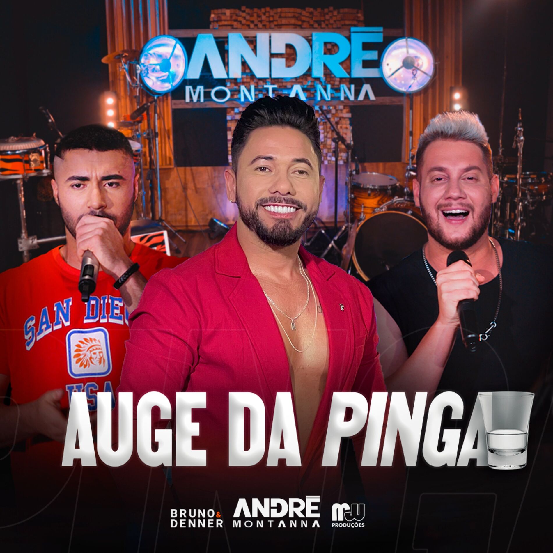 Album cover of Auge da Pinga