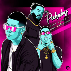 Cover of Me Pichabas