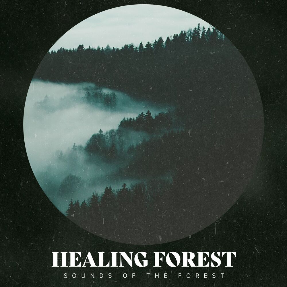Picture of Healing Forest