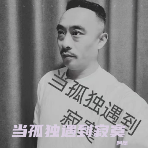 当孤独遇到寂寞