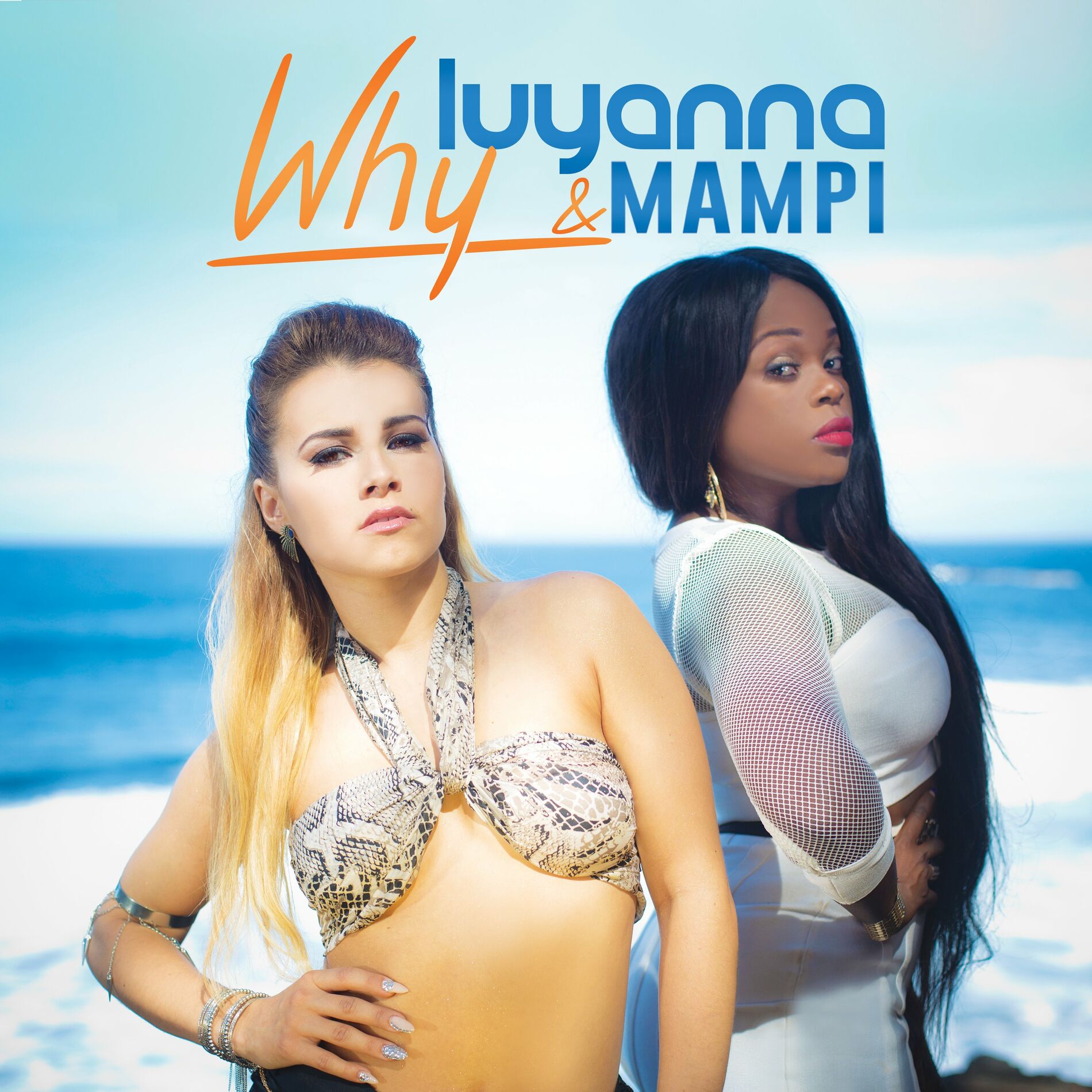 Album cover of Why