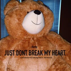 Cover of Just Don't Break My Heart