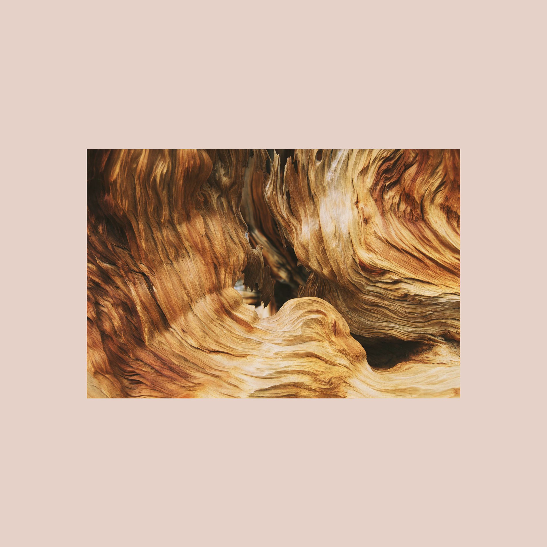 Album cover of I Don't Wanna Be