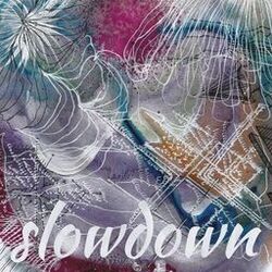 Cover of Slow down
