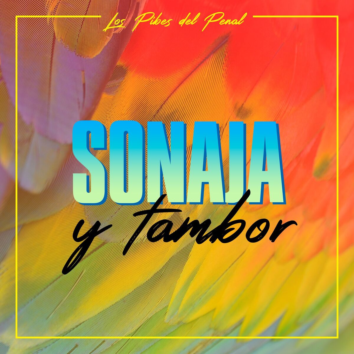 Album cover of Sonaja y Tambor
