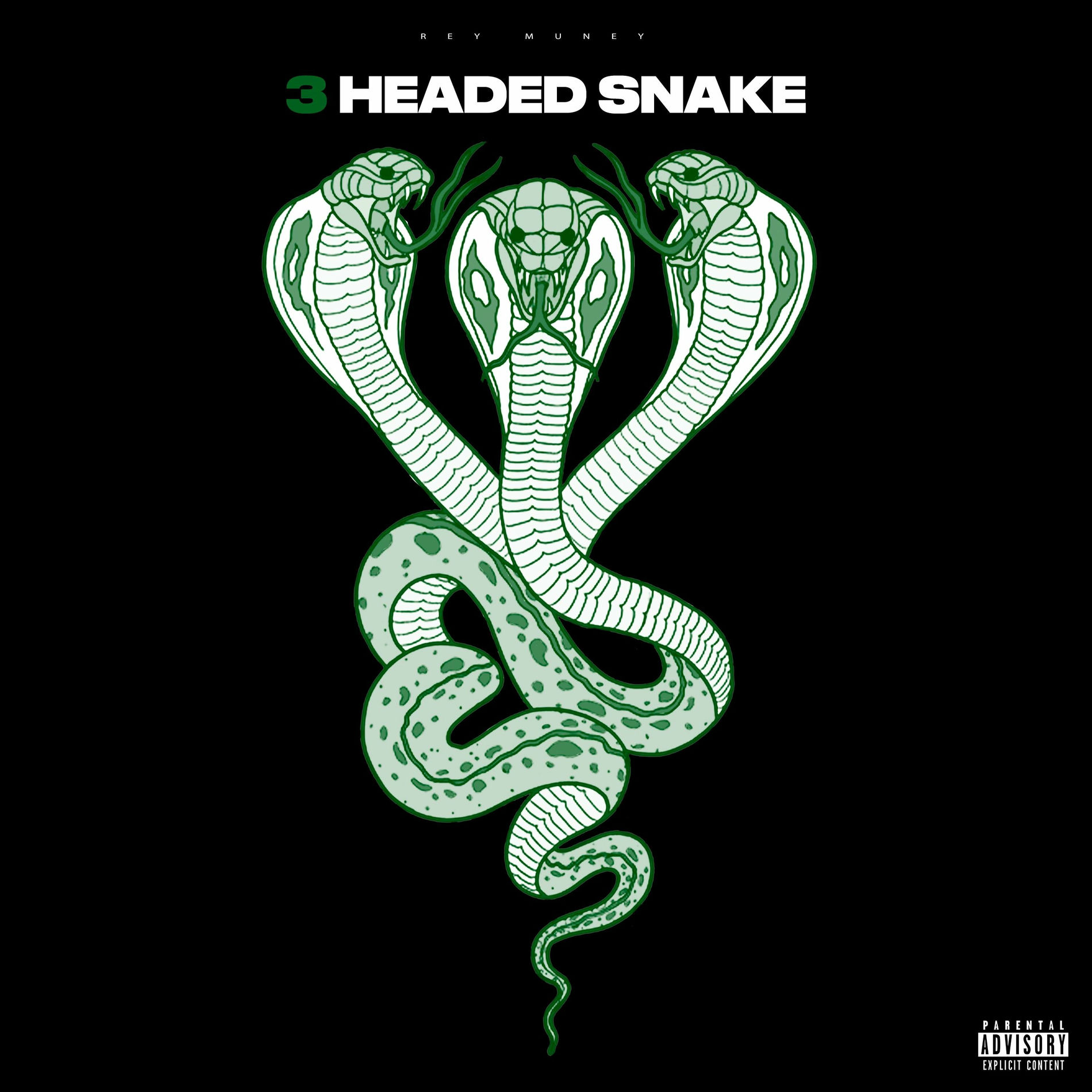 Album cover of 3 Headed Snake