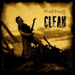 Cover of Clean