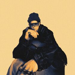 Cover of el versa (fulana d tal)