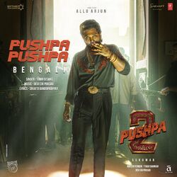 Cover of Pushpa Pushpa (From "Pushpa 2 The Rule")